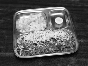 Cheese Pulao