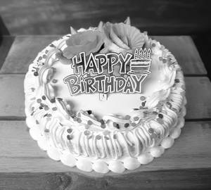 Regular Vanilla Cake (500gm)