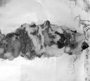 Reshmi Kebab