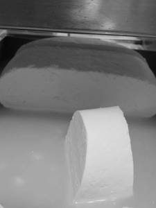 Fresh Paneer