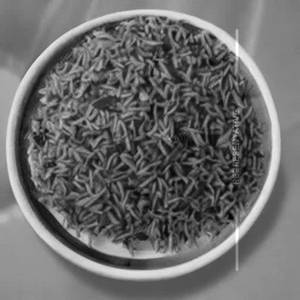 Rice [Half]