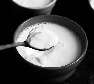 Dahi (Simple Curd)
