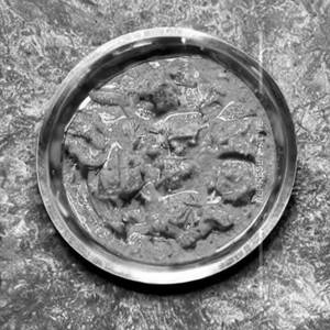 Kasoori Handi