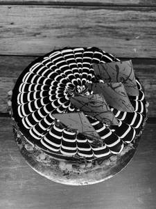 Choco Fudge Cake