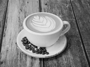 Mocha