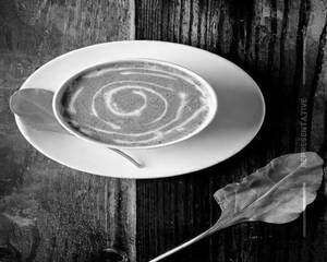 Cream of Spinach Soup