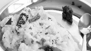 Curd Rice