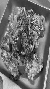 Chilli Basil Tamarind Fish