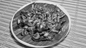 Kanava Fry
