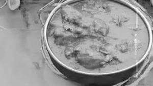 Chicken Butter Masala