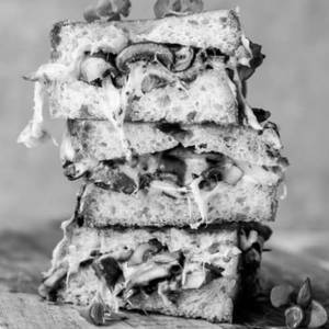 Creamy Mushroom Spinach Sandwich