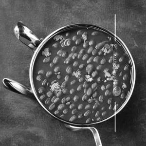 Pindi Chana