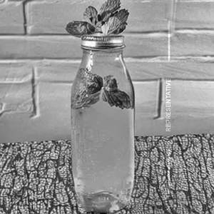 Fresh Lemon Mint Soda