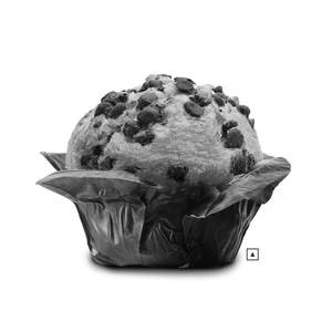 Vanilla Chocolate Muffin.