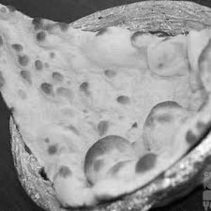 NAAN PLAIN