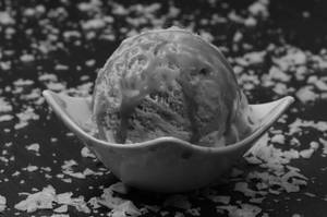 Salted Caramel (Scoop)