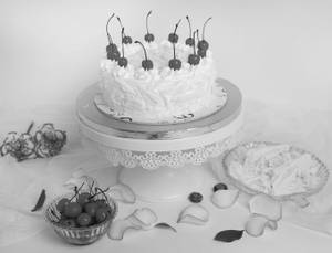 Eggfree  White Forest