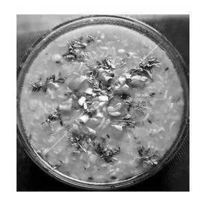 Dal Khichdi