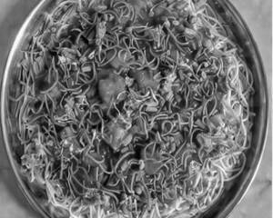 Triple Schezwan Noodles