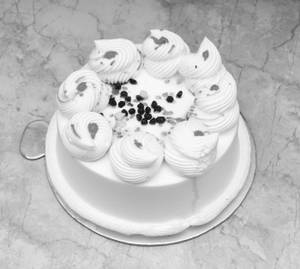 Vanilla Cake