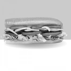 Veg Delight Sub