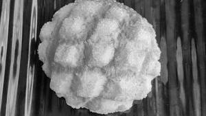 Melon Pan