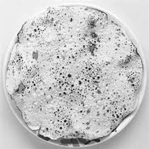 Roasted papad