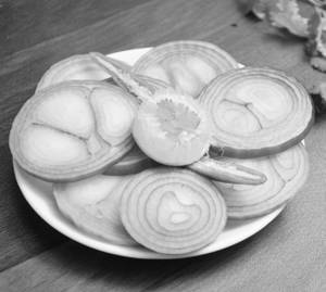Onion Salad