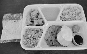 Upvas Thali Plate