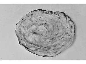 Paratha
