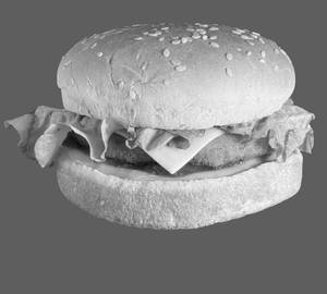 Sassy Burger