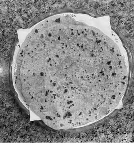 Whole Wheat Paneer Onion Paratha