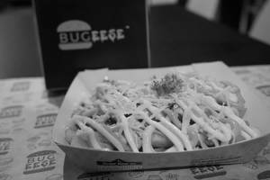 Cheese Loaded Fries
