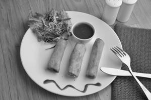 Veg Spring Roll Combo