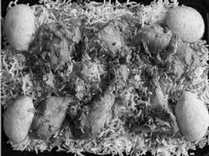 Special Chicken Biryani Family Pack