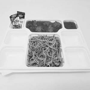 Veg Manchurian Gravy + Hakka Noodles Combo
