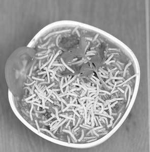 Sev Tomato ( Non Jain )