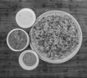 Mix Veg Uttapam