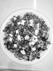 Paneer with badam sprouts bhel