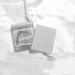 Mango Mini Chbar