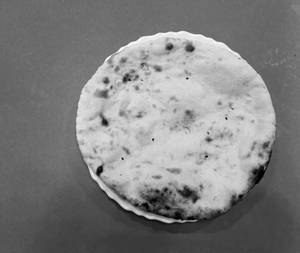 Tandoori Roti