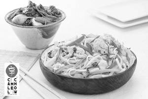 Grilled Teriyaki Chicken And Udon Noodles