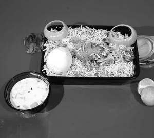 Chicken Leg Piece Biryani Meal [serves- 1]