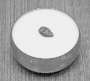 Plain Dahi