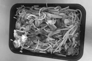 Egg  Hakka Noodles