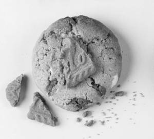 Basic Brown Biscuit Cookie