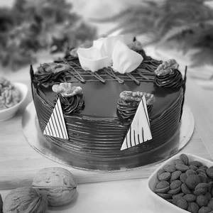Choco Walnut Cake