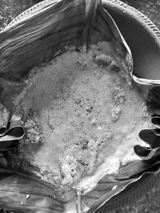Avoli Nirvana (white Pomfret)