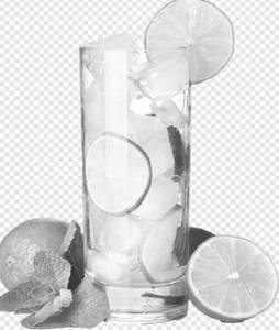 Mint Lime Juice
