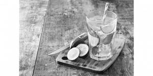 Mint mojito